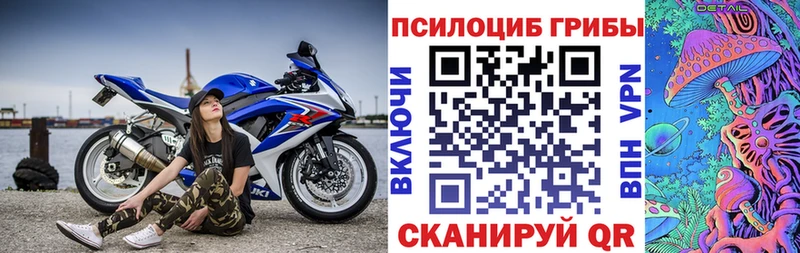 купить   Искитим  мега зеркало  Галлюциногенные грибы прущие грибы 