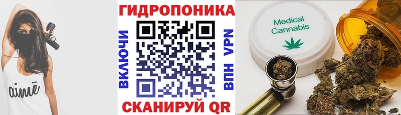 блэк спрут ONION  Искитим  Каннабис планчик 